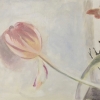 Tender Tulip. 50x65cm, Öl auf Leinwand, 2021