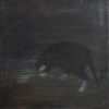 Katze auf dem Dach, 2016, Öl/Lw., 40x40cm